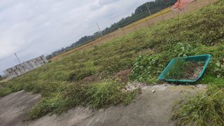 윤정님의 들깨 · 영농일지 작성글 사진