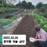 팜모닝 고추·영농일지 게시글 이미지