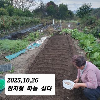 시민농장님의 고추 · 영농일지 작성글 사진