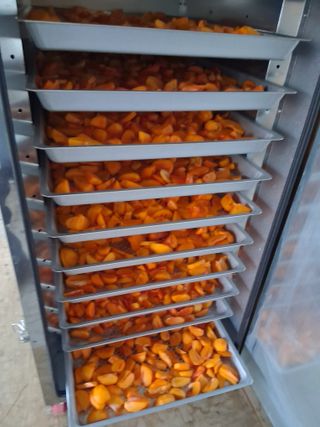 양파15542님의 기타작물 · 영농일지 작성글 사진