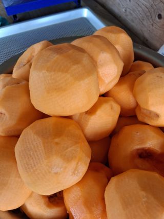 양파15542님의 기타작물 · 영농일지 작성글 사진