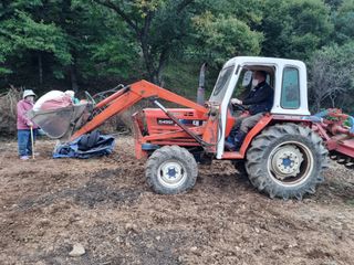 까망돌1988님의 들깨 · 영농일지 작성글 사진