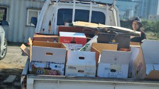 김동명님의 고구마 · 영농일지 작성글 사진