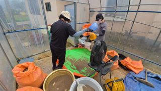 김흥환 님의 들깨 · 영농일지 작성글 사진