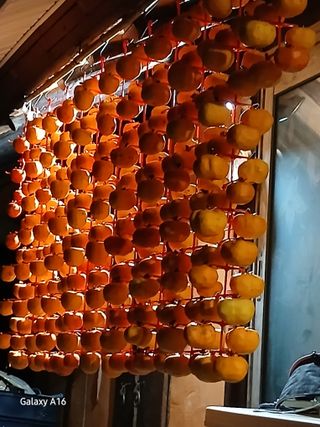 이수양님의 기타작물 · 영농일지 작성글 사진