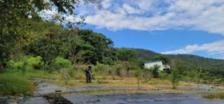 박종화님의 기타작물 · 영농일지 작성글 사진