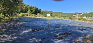 박종화님의 기타작물 · 영농일지 작성글 사진