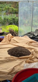 팜모닝 들깨·영농일지 게시글 이미지