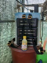 팜모닝 마늘·영농일지 게시글 이미지