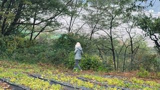 서초농원님의 기타작물 · 영농일지 작성글 사진