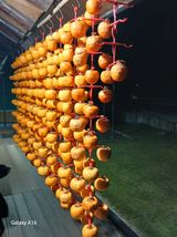 팜모닝 기타작물·영농일지 게시글 이미지