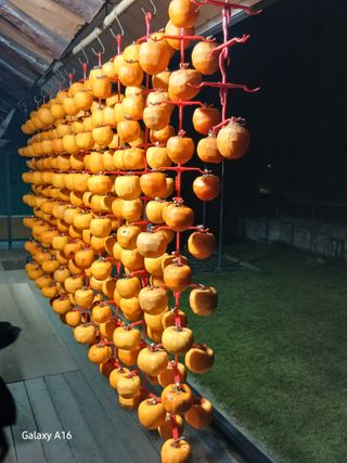 이수양님의 기타작물 · 영농일지 작성글 사진