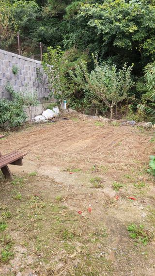 화양초보님의 기타작물 · 영농일지 작성글 사진