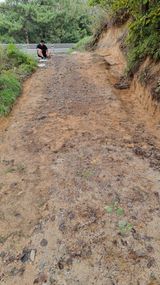 팜모닝 기타작물·영농일지 게시글 이미지