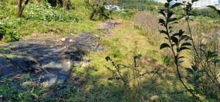 박종화님의 기타작물 · 영농일지 작성글 사진