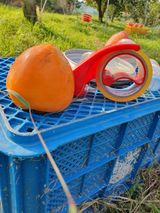 팜모닝 감·영농일지 게시글 이미지