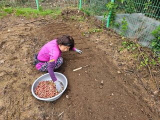 경달현님의 파 · 영농일지 작성글 사진