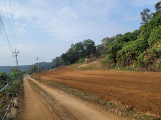 신승철님의 기타작물 · 영농일지 작성글 사진