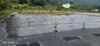 박종화님의 기타작물 · 영농일지 작성글 사진