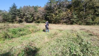 장흥 모경화 님의 기타작물 · 영농일지 작성글 사진