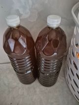 팜모닝 기타작물·영농일지 게시글 이미지