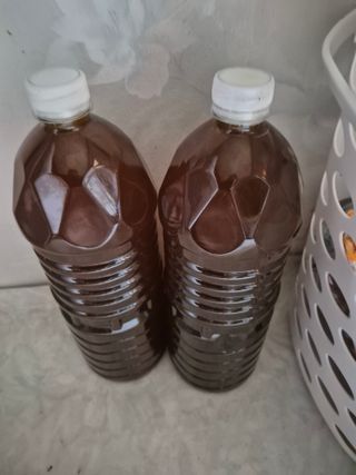 김연숙님의 기타작물 · 영농일지 작성글 사진