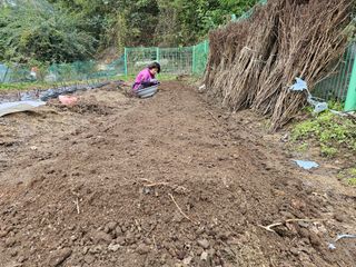 경달현님의 파 · 영농일지 작성글 사진