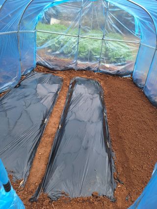 김윤오님의 기타작물 · 영농일지 작성글 사진