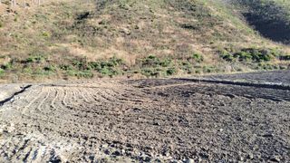 김홍중님의 기타작물 · 영농일지 작성글 사진