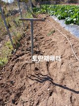 팜모닝 기타작물·영농일지 게시글 이미지