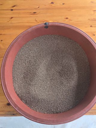 제주농부님의 양파 · 영농일지 작성글 사진