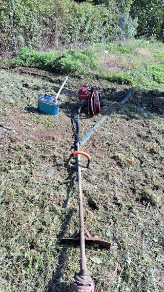 주윤발이님의 기타작물 · 영농일지 작성글 사진