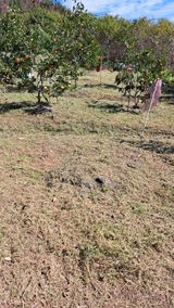 팜모닝 기타작물·영농일지 게시글 이미지