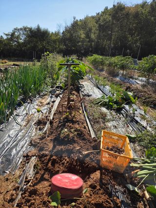 뚜비맘님의 기타작물 · 영농일지 작성글 사진
