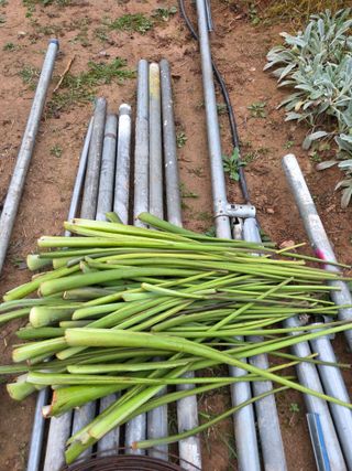 뚜비맘님의 기타작물 · 영농일지 작성글 사진