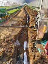 팜모닝 기타작물·영농일지 게시글 이미지