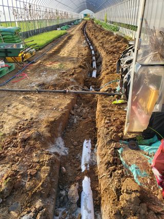 딸기16137님의 기타작물 · 영농일지 작성글 사진