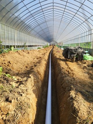 딸기16137님의 기타작물 · 영농일지 작성글 사진