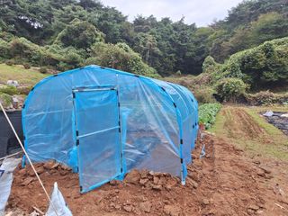 김윤오님의 기타작물 · 영농일지 작성글 사진