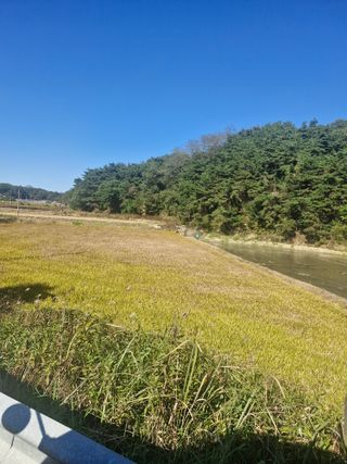 백운농원 님의 기타작물 · 영농일지 작성글 사진