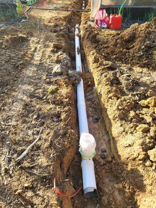 딸기16137님의 기타작물 · 영농일지 작성글 사진