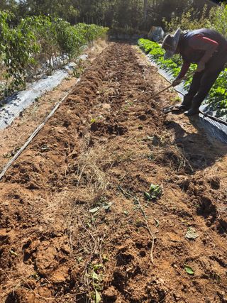 뚜비맘님의 기타작물 · 영농일지 작성글 사진