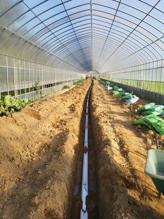 딸기16137님의 기타작물 · 영농일지 작성글 사진