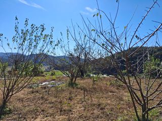 형남영님의 기타작물 · 영농일지 작성글 사진