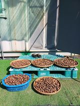 팜모닝 기타작물·영농일지 게시글 이미지