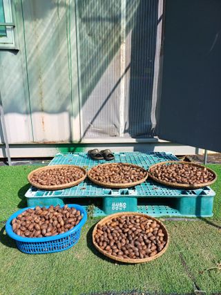 송우철님의 기타작물 · 영농일지 작성글 사진