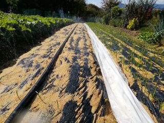 백창석님의 기타작물 · 영농일지 작성글 사진
