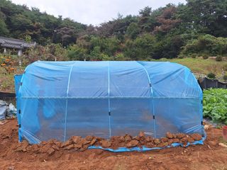 김윤오님의 기타작물 · 영농일지 작성글 사진