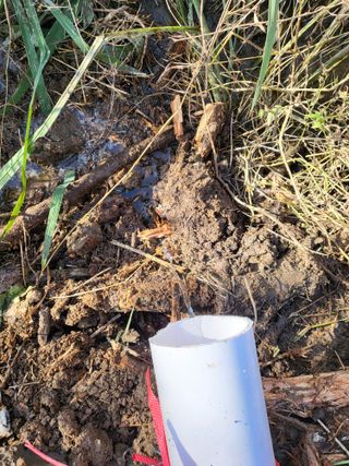 딸기16137님의 기타작물 · 영농일지 작성글 사진