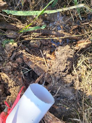 딸기16137님의 기타작물 · 영농일지 작성글 사진